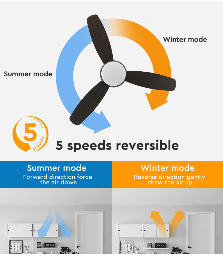 ceiling fan