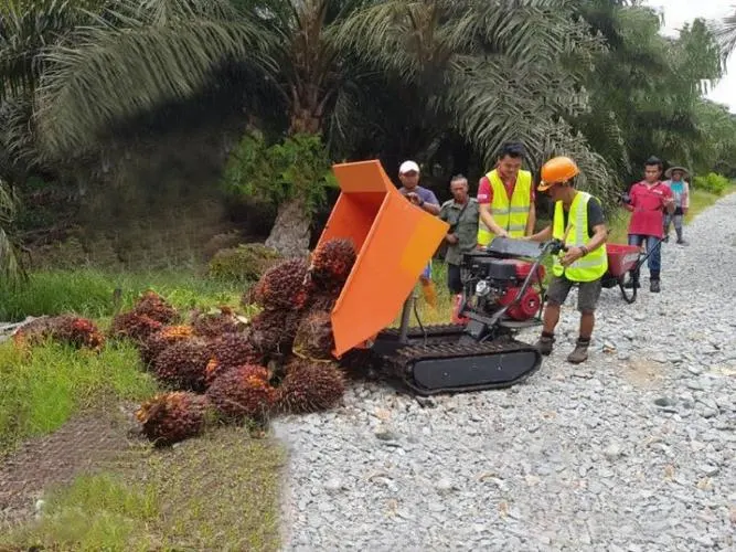 High Performance Crawler Dumper GF5000d 5 Tons Self-Loading Capacity Self-Propelled Side Dumping Style 37kw/3200r/Min Engine Power Used for Oil Palm Plantation