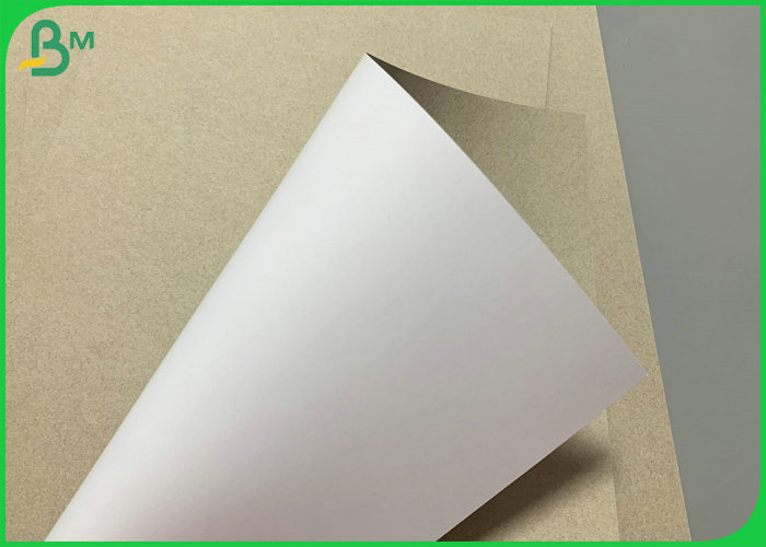 Smooth White 300g Duplex Board  Grey Back For Beverage Packaging