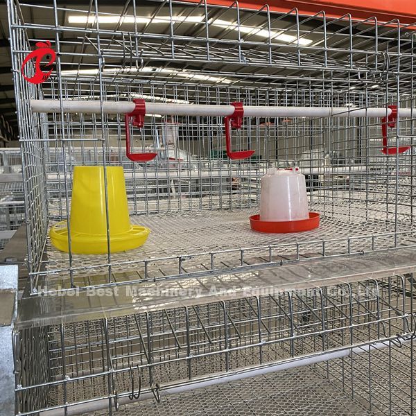 A Type Broiler Battery Cage Galvanized High Strength Poultry Broiler Cage Iris