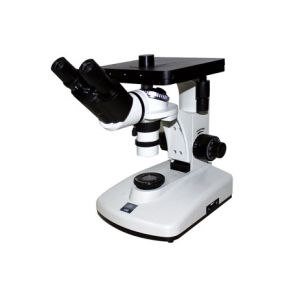 Buy cheap Binocular 6V 12W Inverted Optical Microscope Compound Metallurgical 100X 1250X product