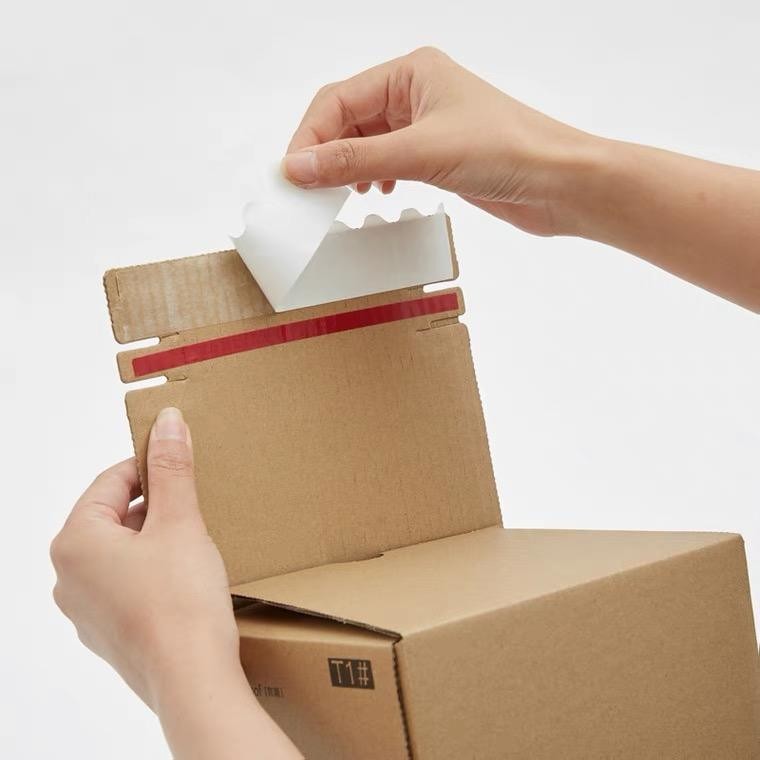 Hot Sale Custom Shipping Boxes Custom Logo Package Courier Box Delivery Corrugated Box