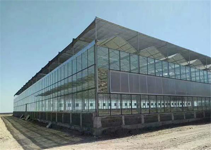 High Durability Agricultural Glass Greenhouse 3m - 7m Side Height For Scientific Research