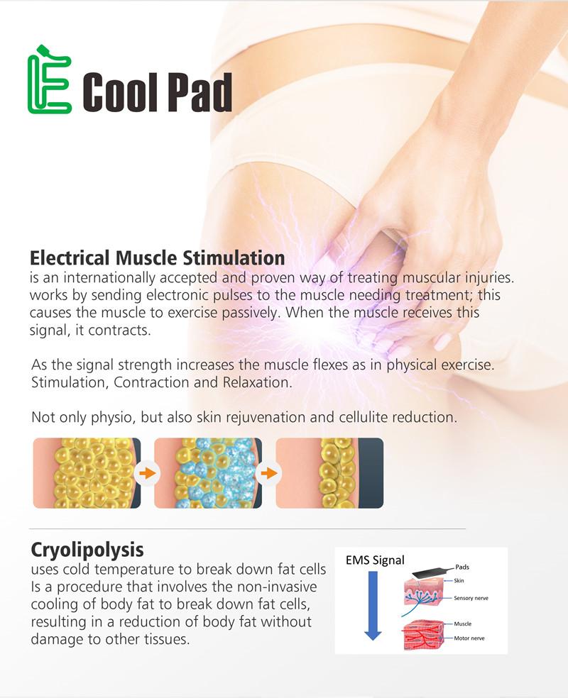4 Handles 30Hz Cryolipolysis EMS Machine For Body Slimming