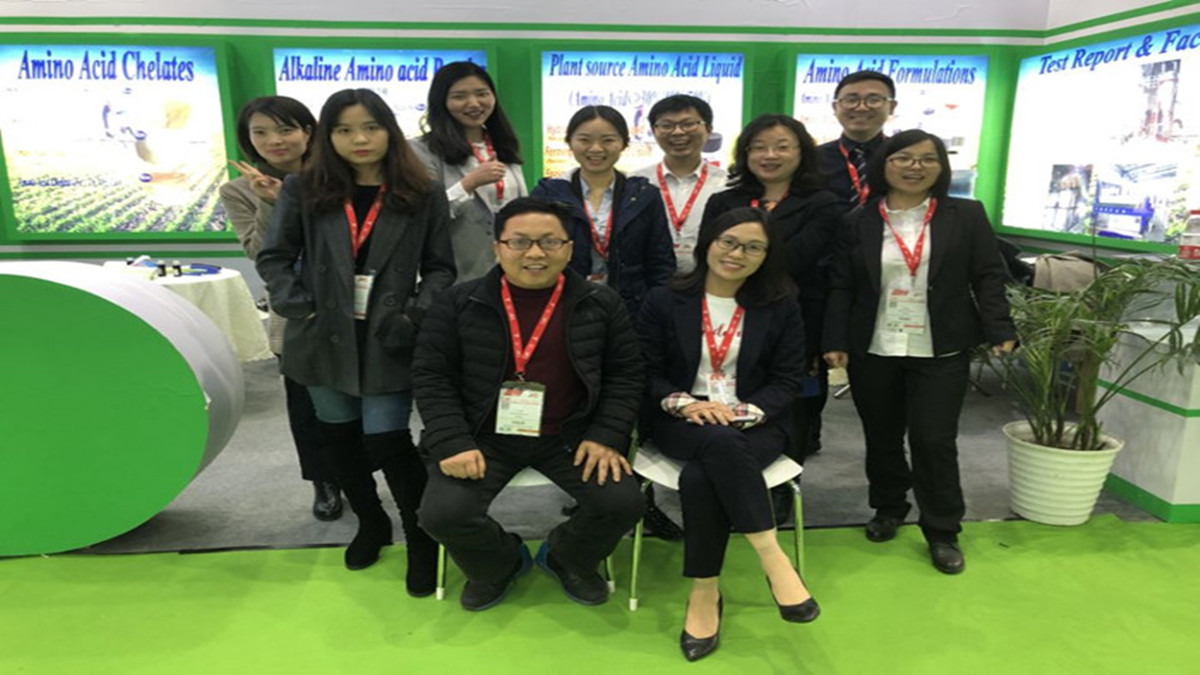 Organic Mineral Elements Additive Amino Protein Chelate Feed Additives For Dairy