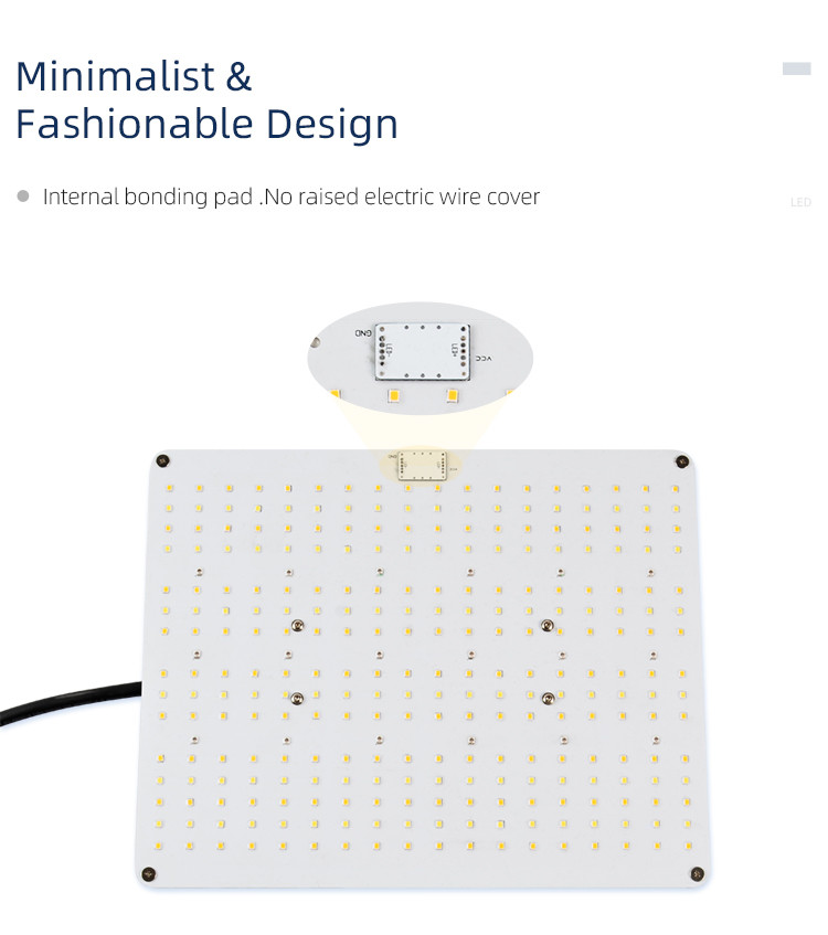 Customized Spectrum 3000K 660nm Quantum Board Light
