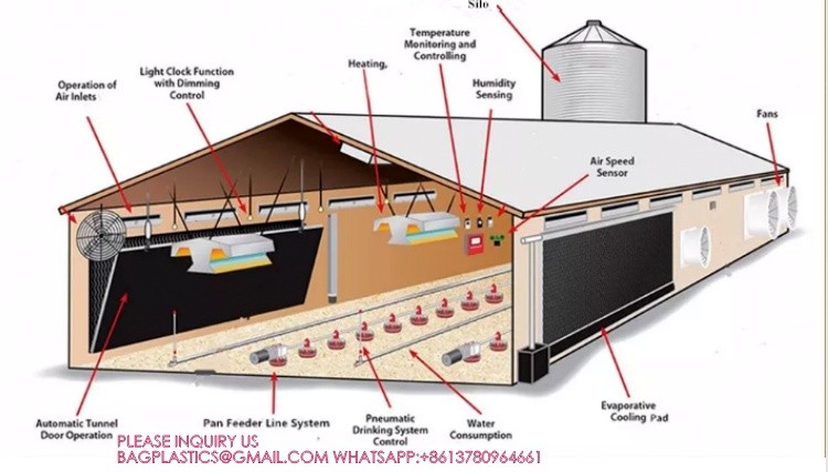 Agricultural Products Automatic Chicken Feeder Agricultural Greenhouses Animals Feeder
