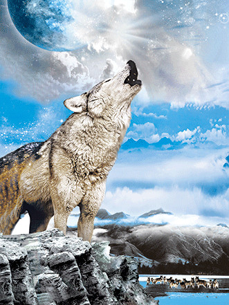BSCI Lenticular 3D Pictures For Hotel Decoration / 3D Animals Photos