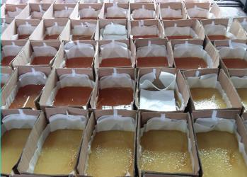 Dongguan Haixiang Adhesive Products Co., Ltd