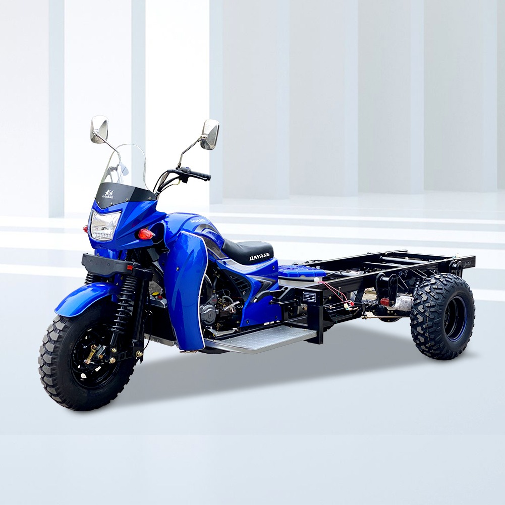 DAYANG 300CC Water Cooling Chassis 50*100 Fuel Oil Sand tire Tricycle for Freight