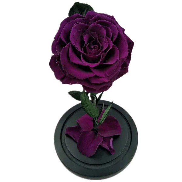 Top quality eternity rose preserved rose forever rose in glass rose gift