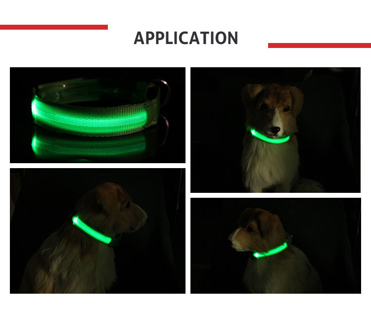 USB Waterproof Rechargeable LED Pet Collar Leashs , Width 2.5cm
