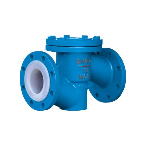 Fluorine check valve H41F46-16C