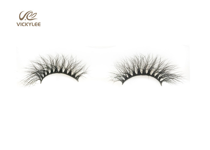 Curly Mink Fan Shaped 8D Dramatic Wispy Lashes