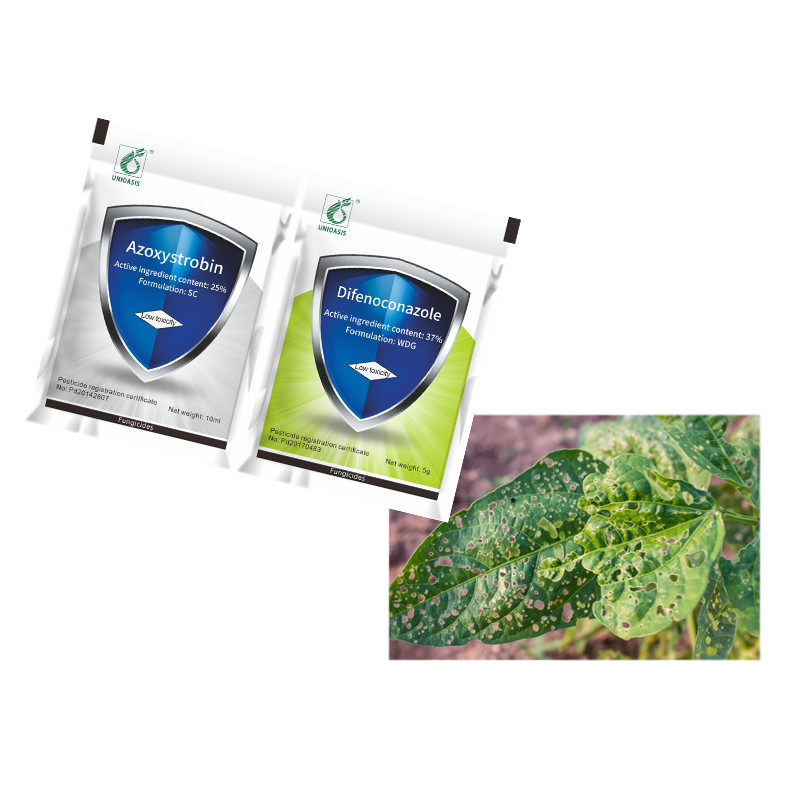 Agrochemical Bactericide 25% Azoxystrobin SC 37% Difenoconazole WDG Treat Grape Blight
