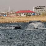 Portable Solar Powered Paddle Wheel Aerator Intelligent Control For Shrimp And