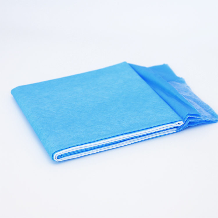 22 X 22 Inch Training Pads Pet underpad Disposable Underpads for Adult dogs and Puppies