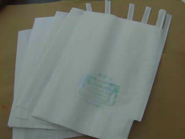 Mango/dragon fruit/ longan fruit growing paper bag skype yu.zhang 951