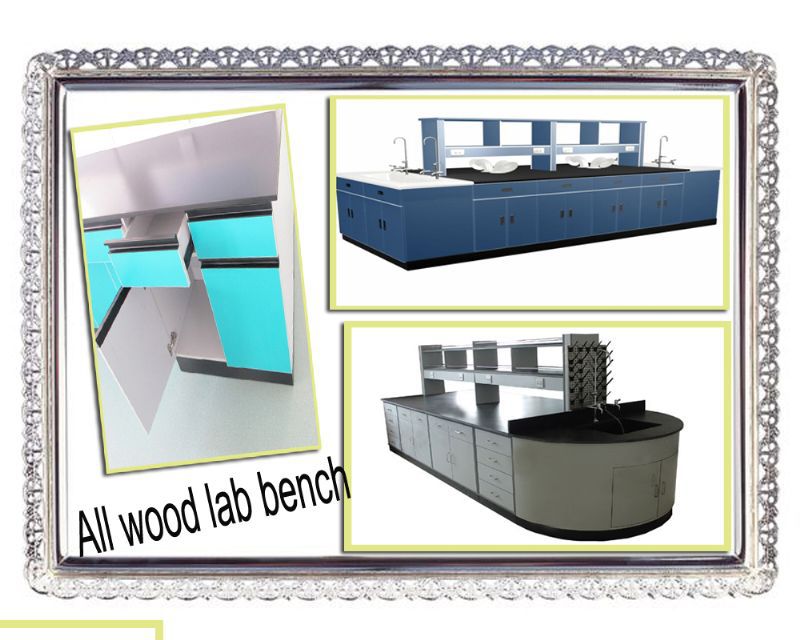 Commercial Lab Island Bench , Heat Resistant Steel Wood Biology Lab Furniture