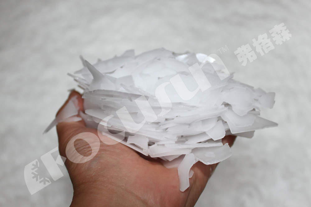 Upgrade Your Ice Production with 15T Focusun Flake Ice Machine and Bitzer Compressor
