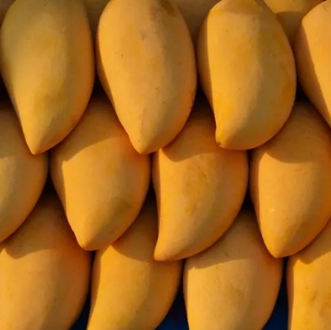 Stainless Steel Food Grade Mango Juice Processing Plant Customized 220V / 380V