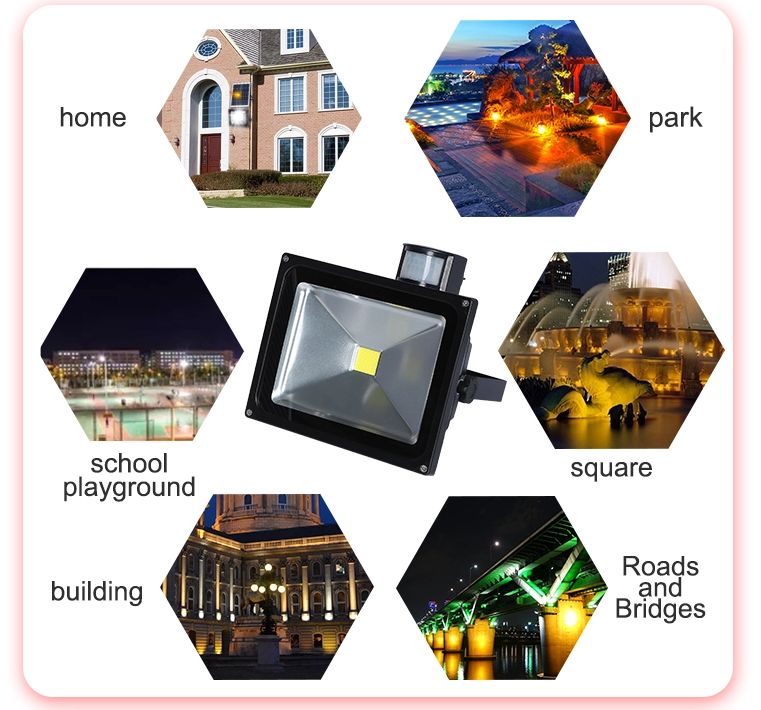 IP65 Waterproof 30W Solar LED Flood Lights By Motion Sensor 12/24VDC
