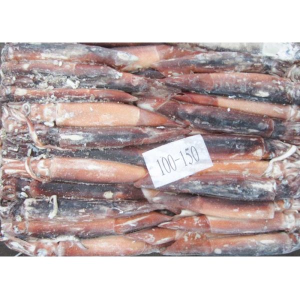 Argentina Squid Dried Salted Squid Bqf 10 Kg Net Weight 100-150 Size