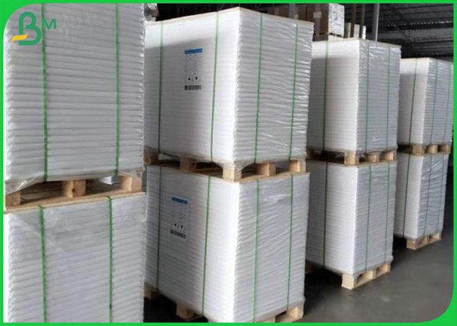70lb 80lb White Offset Printing Paper Roll With FSC Certification