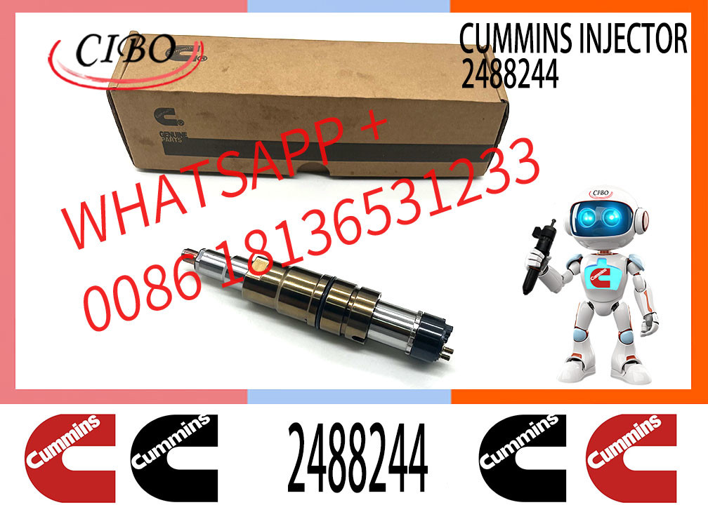 Common Rail Injectors 2488244 2897320 1933613 2030519 2894920 1948565 2029622 2057401 2031836 for Engine DC13 DC16