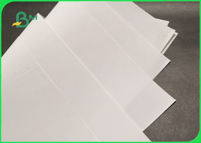 Recyclable 240gsm Stone Paper For Textbooks 64 x 90cm Tear Resistant