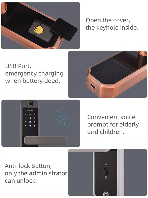 Damp Proof Fingerprint Smart Door Lock Size 20mm For Apartment