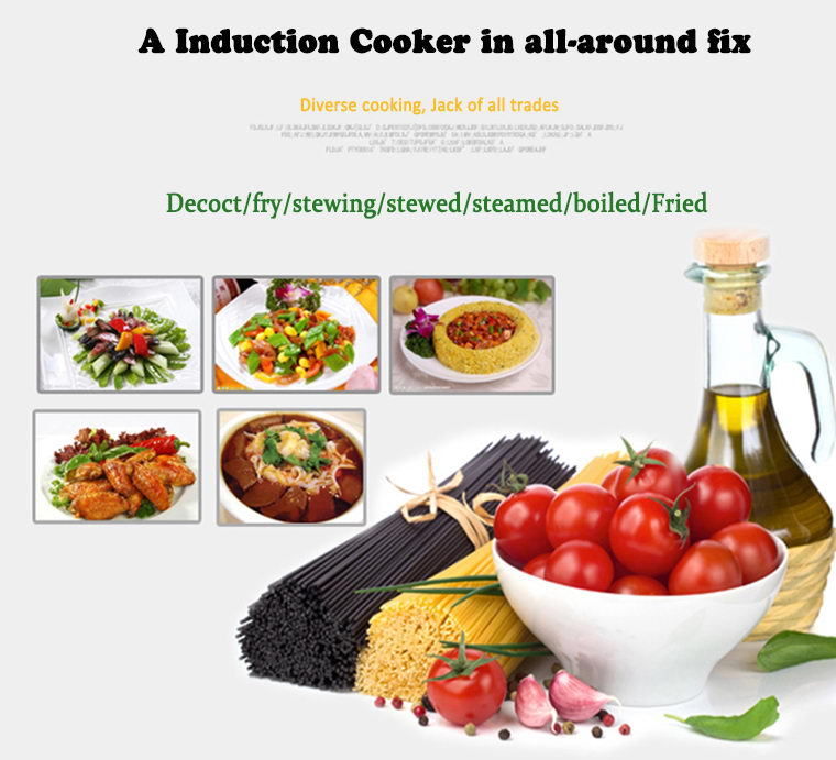 induction wok .JPG