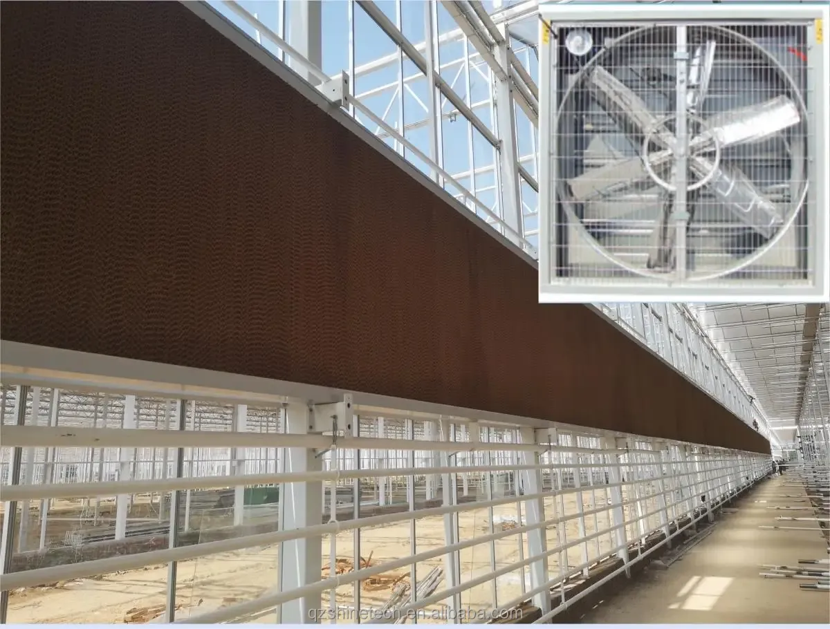 PC Plastic Polycarbonate Sheet Multi Span Hydroponic Greenhouse