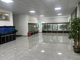 Shenzhen Hanhui Photoelectricity Co.,Ltd