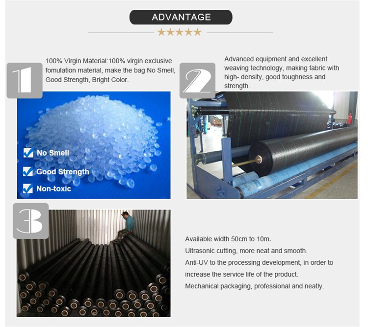 Weedmat /Weed Control Fabric /PP Woven Ground Cover /Ground Cover Fabric with UV