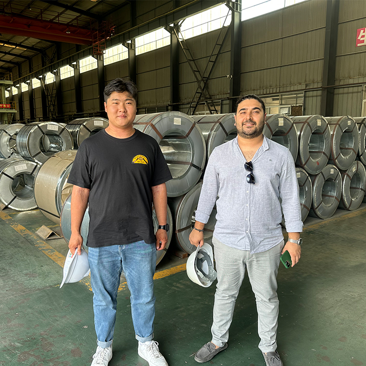 Galvanized Steel Wire 8mm in ASTM Standard from Professional with Q195/Q235/SAE1006/SAE1008 Grade