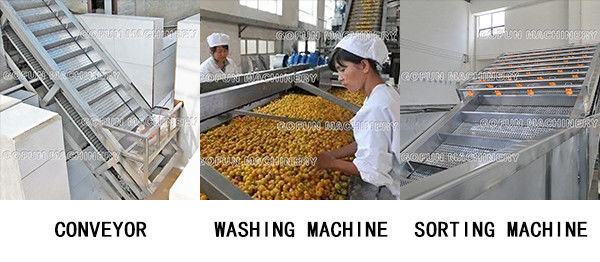 PLC Control 220V 3T/Day Grape Juice Processing Line