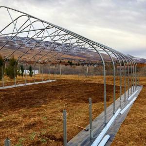 Buy cheap Agricultural Single-Span Greenhouses Accessories The Cheapest  Plastic Film Tunnel Greenhouse Custormized product
