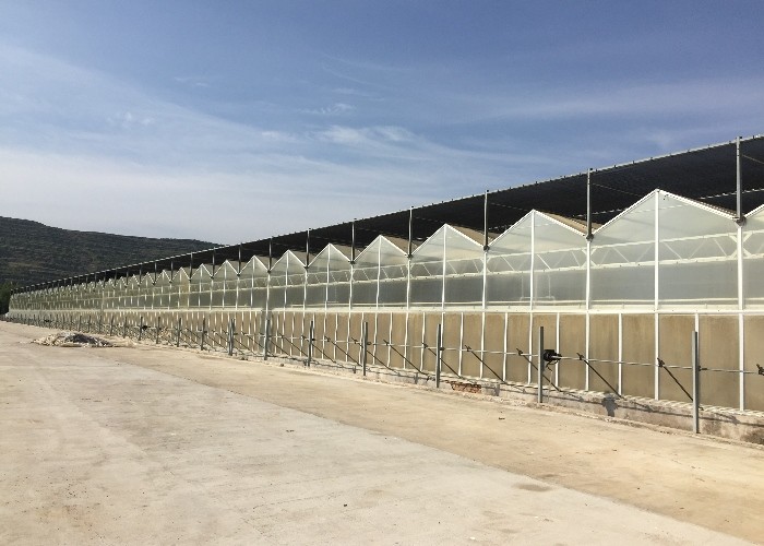 9x12 9x14 9x7 Board Polycarbonate PC Sheet Greenhouse For Hydroponic Growing System