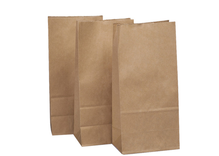 Yard Lawn And Leaves 30 Gallon Multiwall Kraft Lawn Paper Bags
