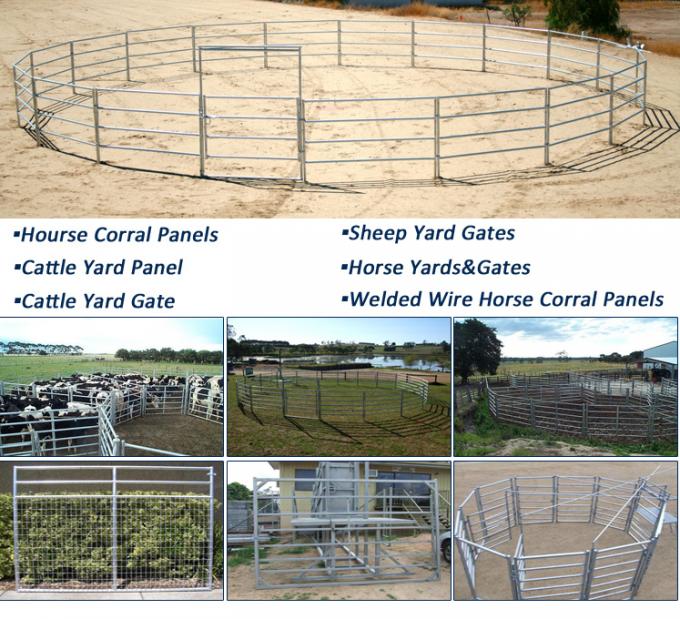 Full Welded Portable Cattle Yard Panel Smooth Surface With Galvanized Foot Plates
