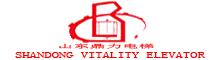 China Shandong Vitality Commerce Co., ltd. logo