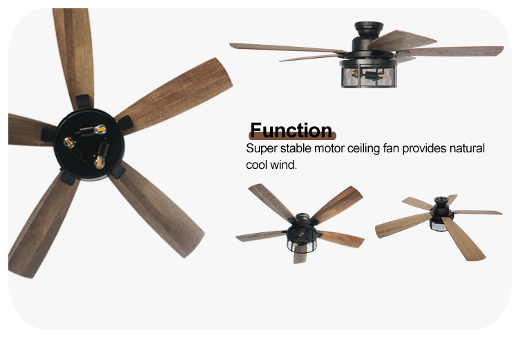 2- 110-240V/50Hz-60Hz Lighting Ceiling Fan with Remote Control and Fancy Iron Design