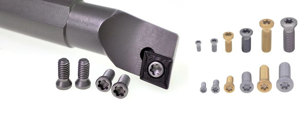 M1.6 Cutting Tool Screw Customized High Strength Screws for Shim Screw Ball Head Screw Double Thread Screw Cheese Head Screw Insert and Indexable Mill Fasteners