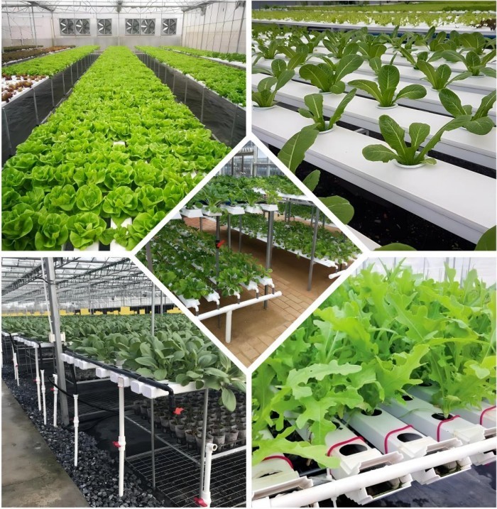 100x50mm Nft Hydroponic Gutter System Rain Pvc Channels Grow System For Lettuce Strawberry