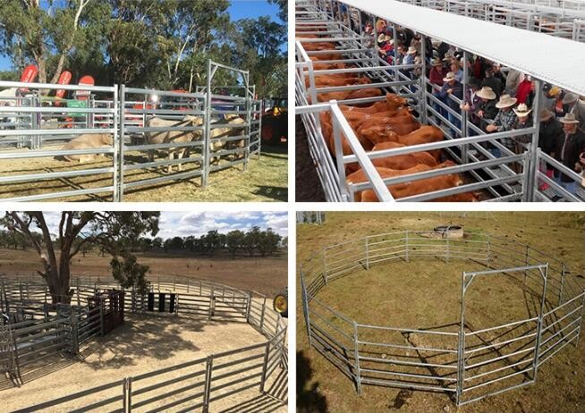 1.6x2.1m Heavy Duty Cattle Panel , Anti Rust Cattle Metal Fence Panels