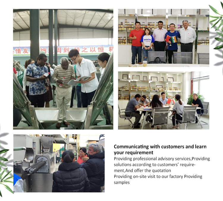 3000 KG Pet Food Processing Line for Large Scale Manufacturing in Food Beverage Shops