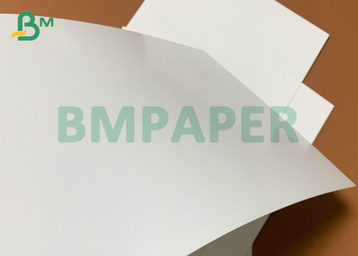 220g 275g 1000mm 1200mm Oilproof FBB SBS Paperboard For Food Box Jumo Roll 