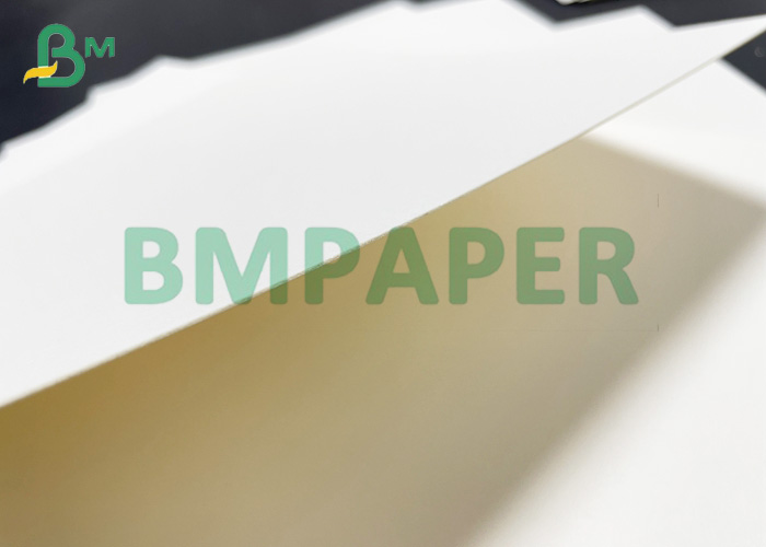 Food Grade Single-side 230g + 15g PE Coated Cup Paper In Roll
