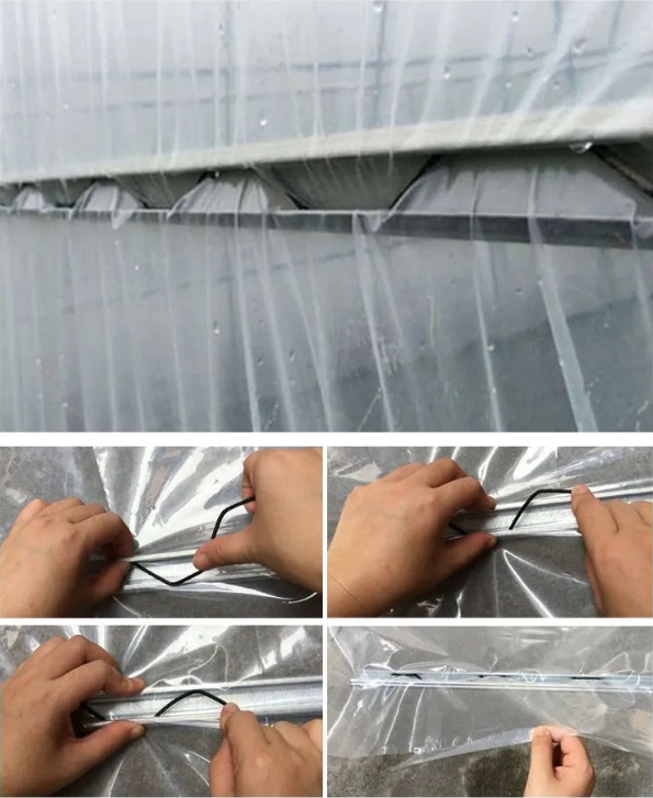 Film Cover 50x8m Single Span Type Agricultural Tunnel Greenhouse with 3.5-5M Height
